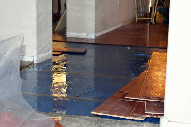 Professional Burst Pipe Cleanup technician working in Farmington, NH